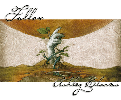 fallow-ashley-blooms